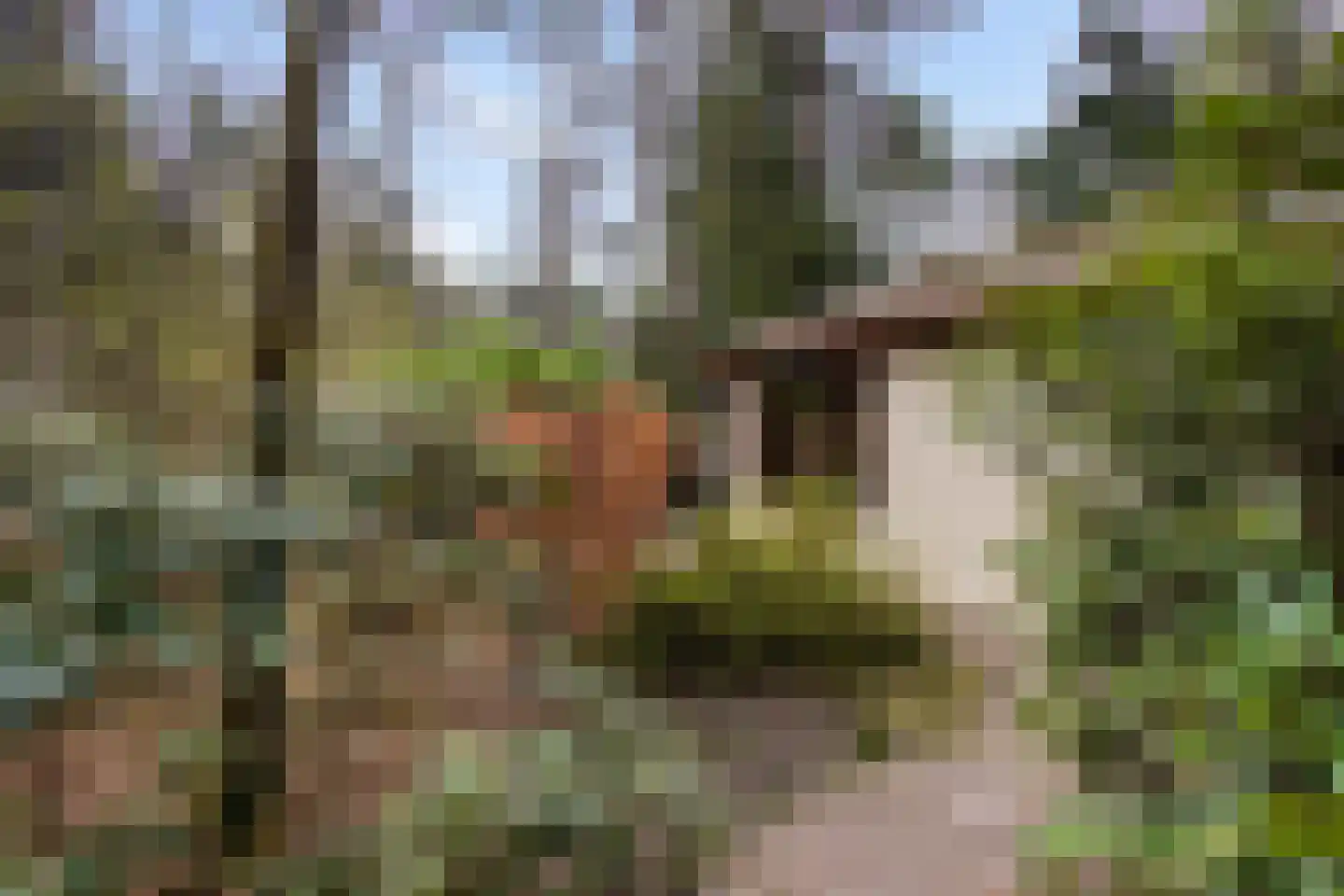 Reeënbergweg 18 33A Beekbergen thumbnail 20