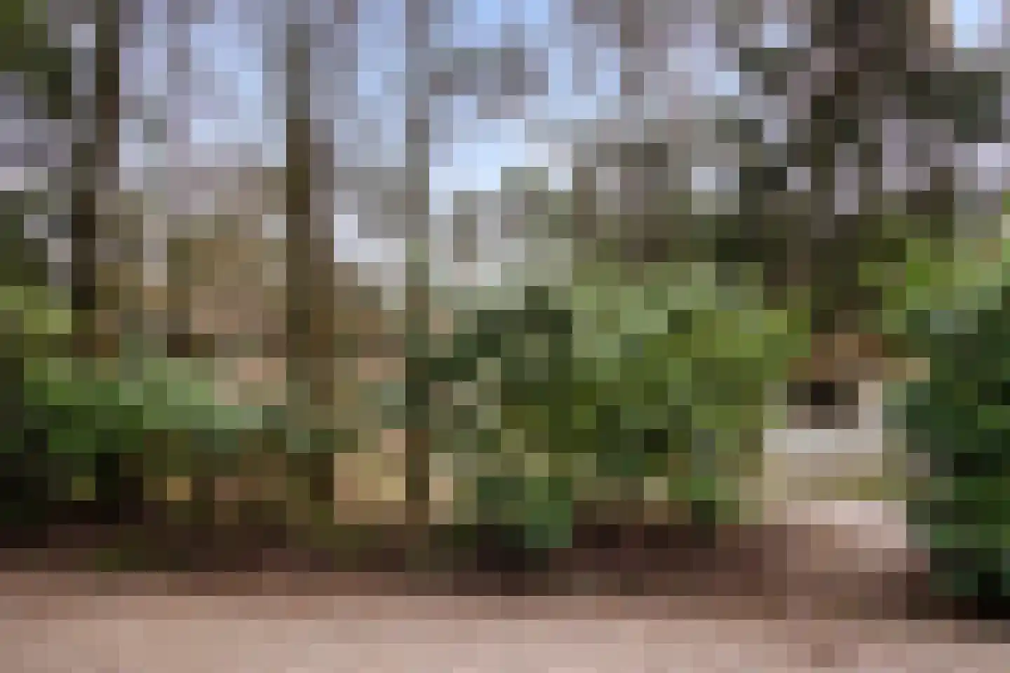 Reeënbergweg 18 33A Beekbergen thumbnail 22