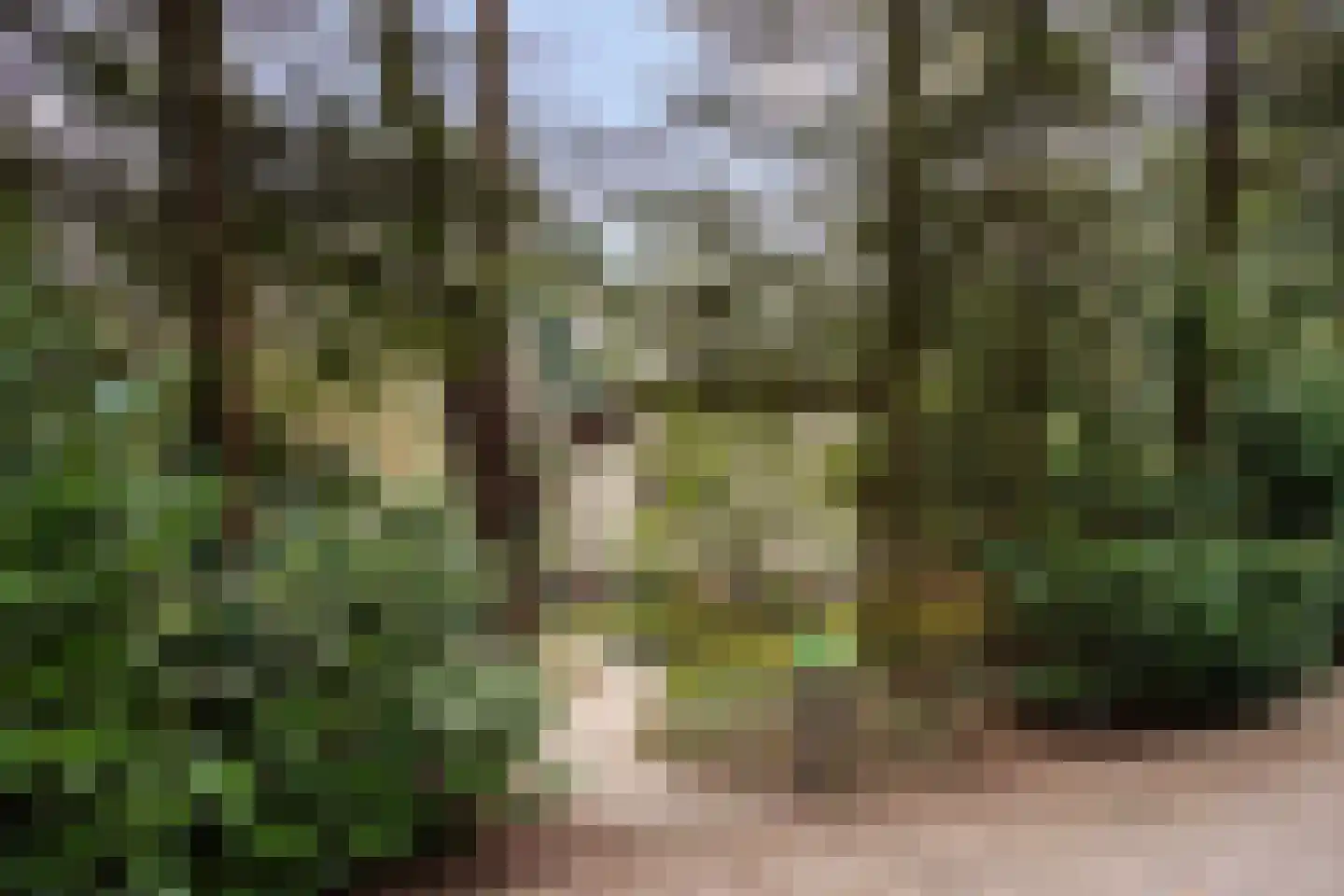 Reeënbergweg 18 33A Beekbergen thumbnail 23