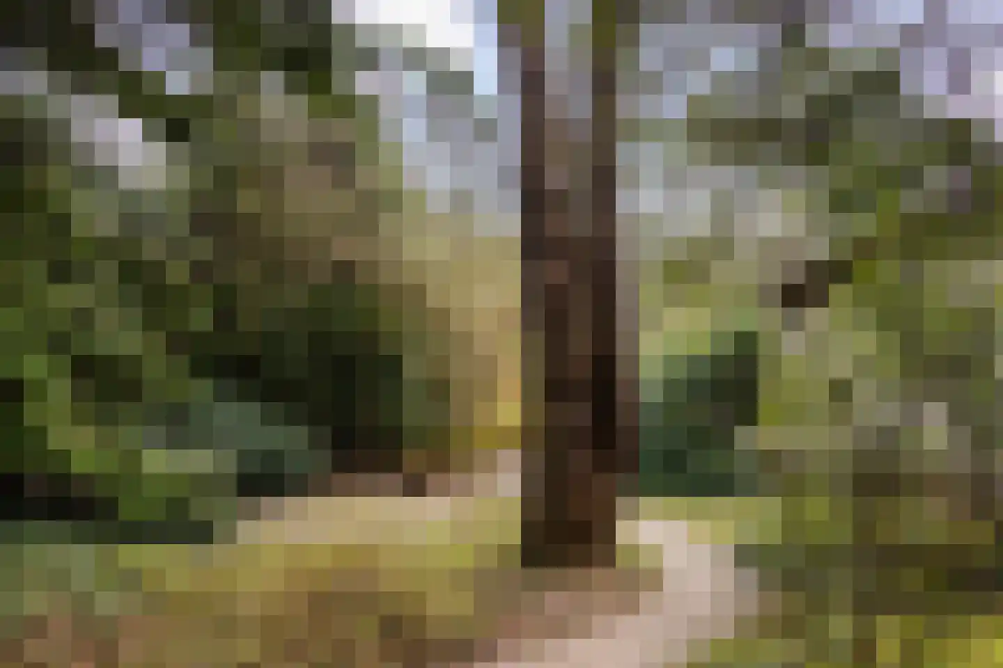 Reeënbergweg 18 33A Beekbergen thumbnail 24