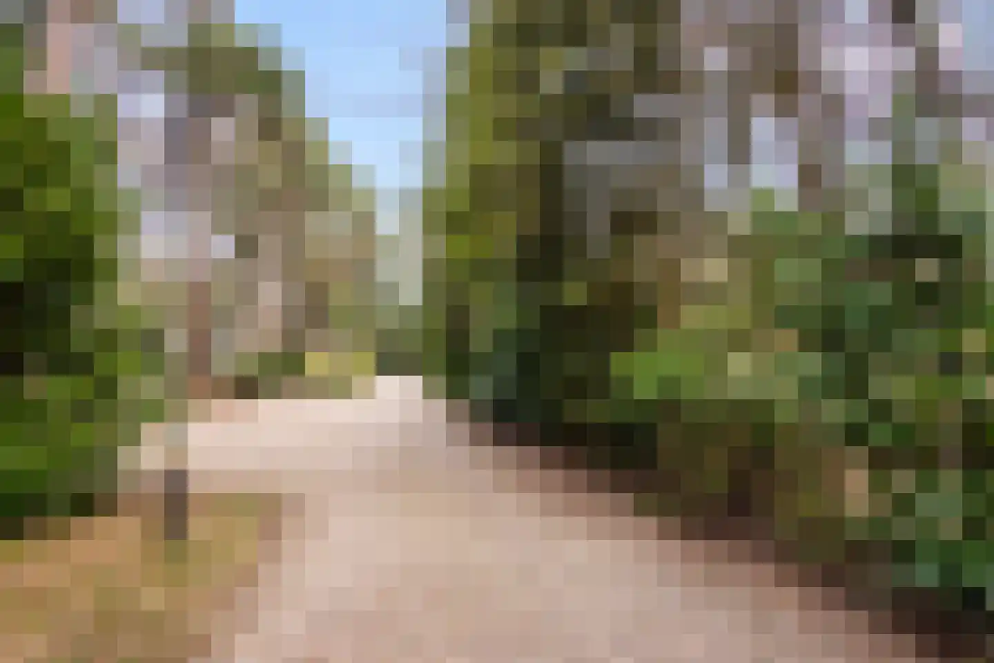 Reeënbergweg 18 33A Beekbergen thumbnail 27