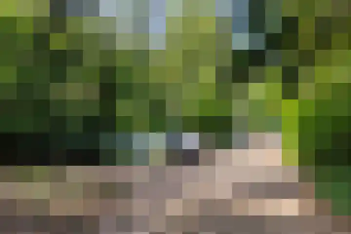 Reeënbergweg 18 34 Beekbergen thumbnail 22