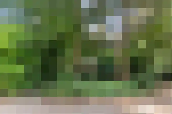 Reeënbergweg 18 34 Beekbergen thumbnail 23