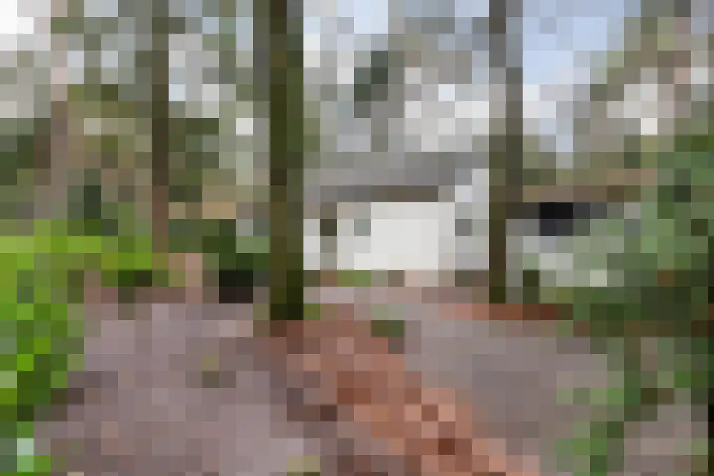 Reeënbergweg 18 85 Beekbergen thumbnail 23