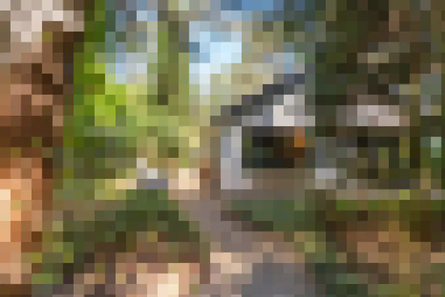 Reeënbergweg 18 99 Beekbergen thumbnail 21