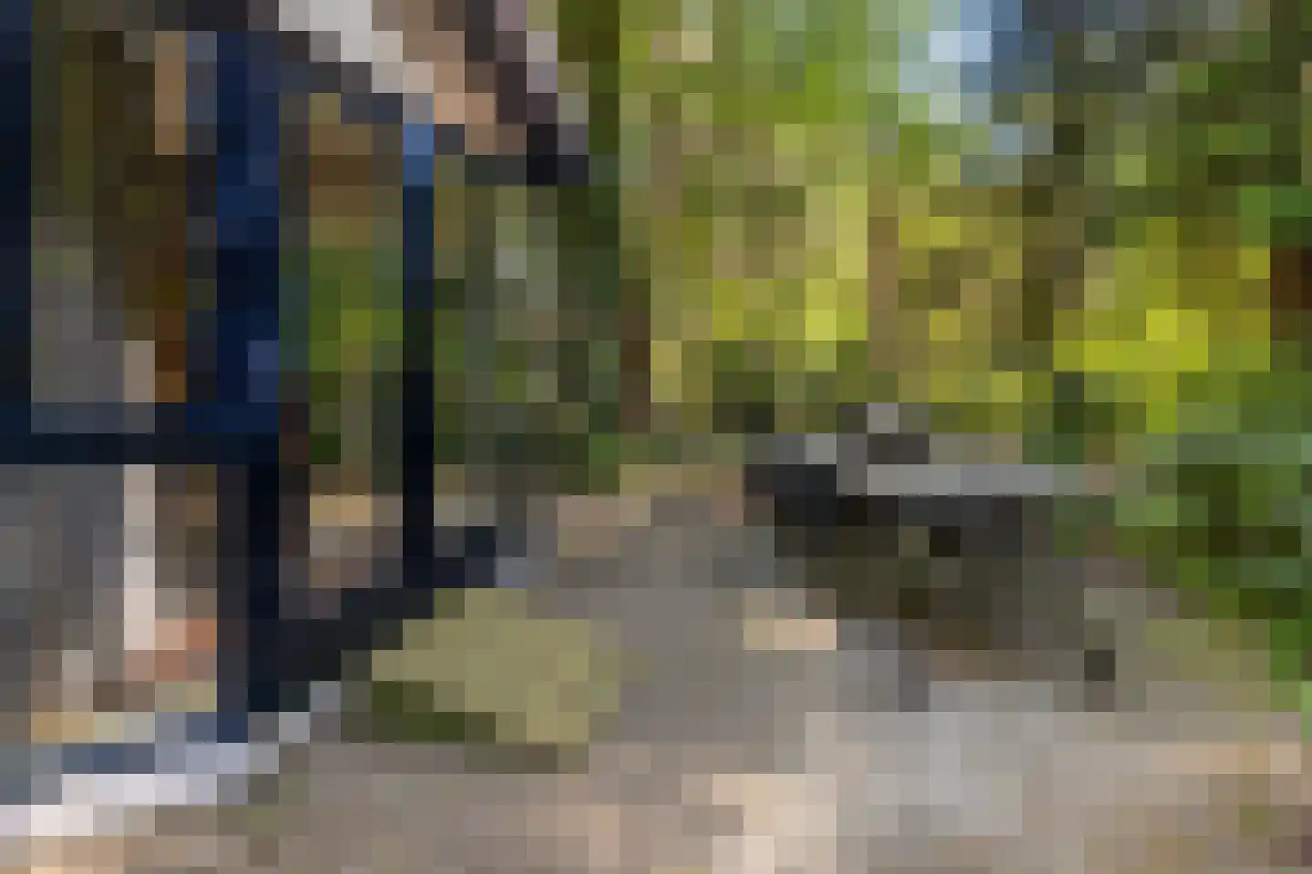 Reeënbergweg 18 99 Beekbergen thumbnail 23