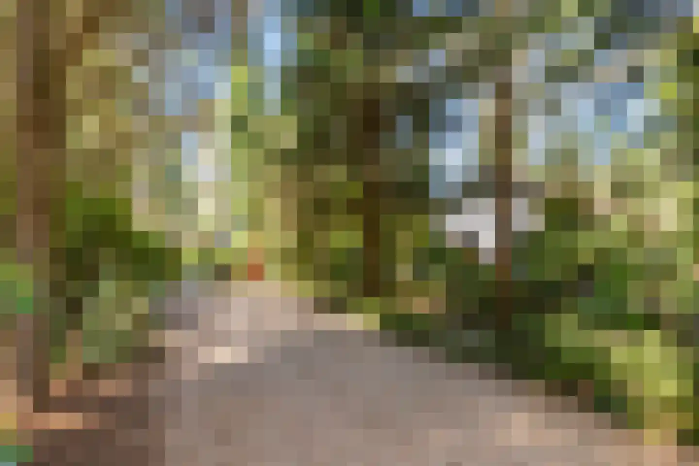 Reeënbergweg 18 99 Beekbergen thumbnail 27