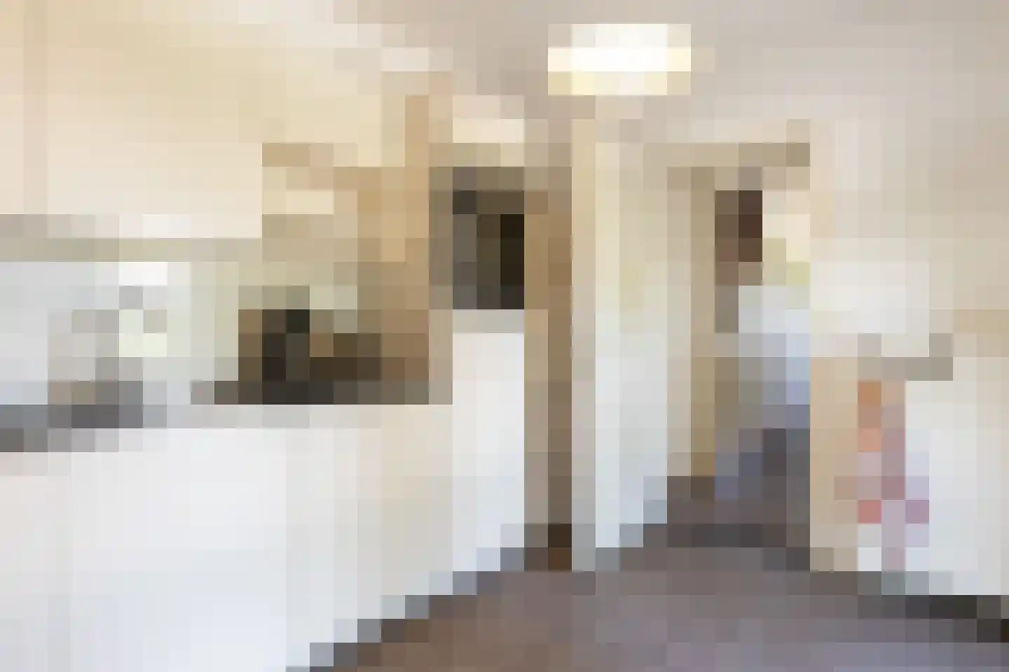 Reeënlaan 18 Apeldoorn thumbnail 13