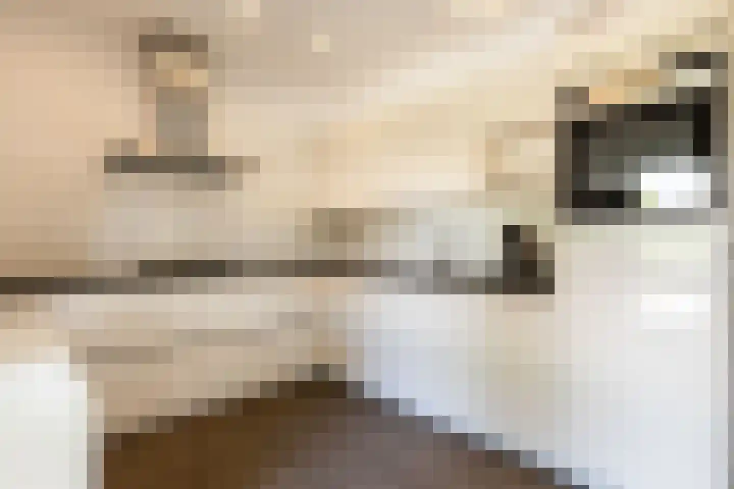 Reeënlaan 18 Apeldoorn thumbnail 14
