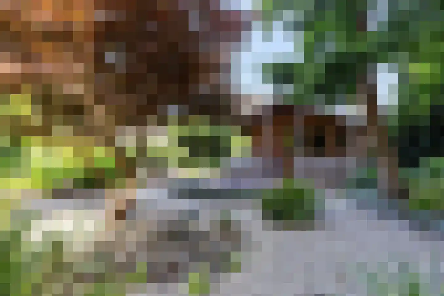 Reeënlaan 18 Apeldoorn thumbnail 17