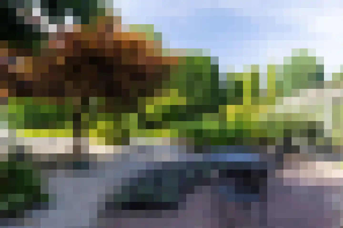 Reeënlaan 18 Apeldoorn thumbnail 19
