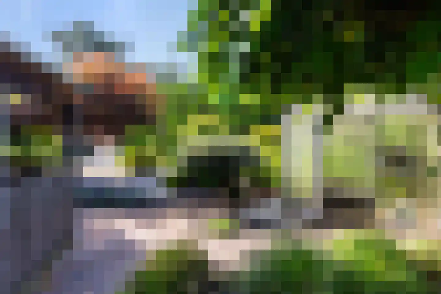 Reeënlaan 18 Apeldoorn thumbnail 20