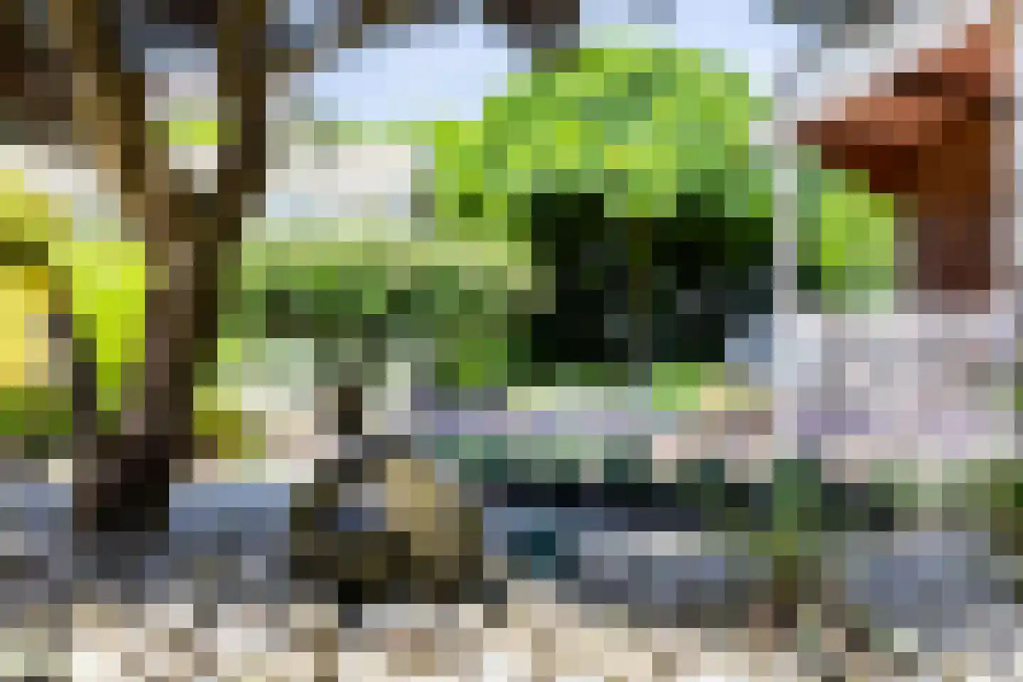 Reeënlaan 18 Apeldoorn thumbnail 21