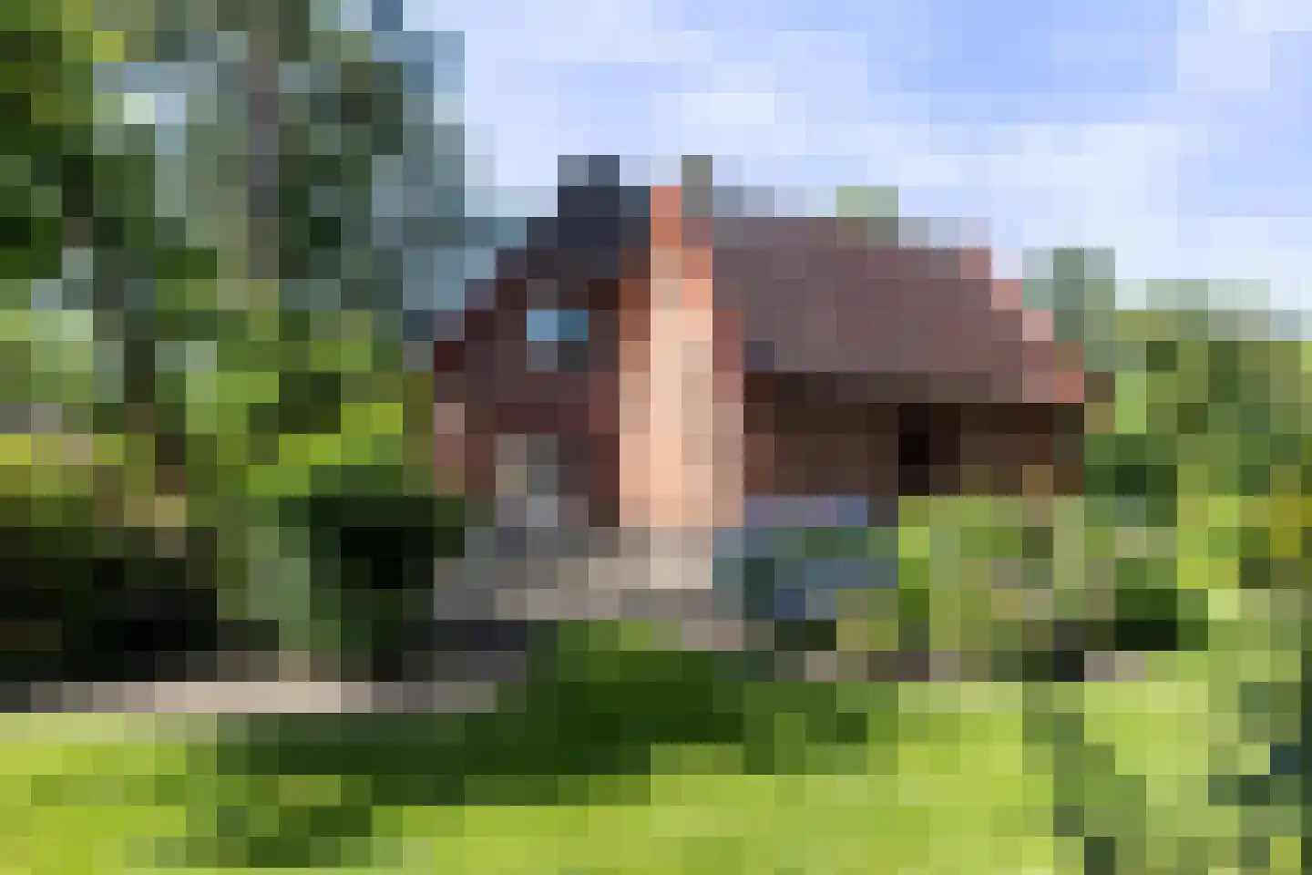 Reeënlaan 18 Apeldoorn thumbnail 24