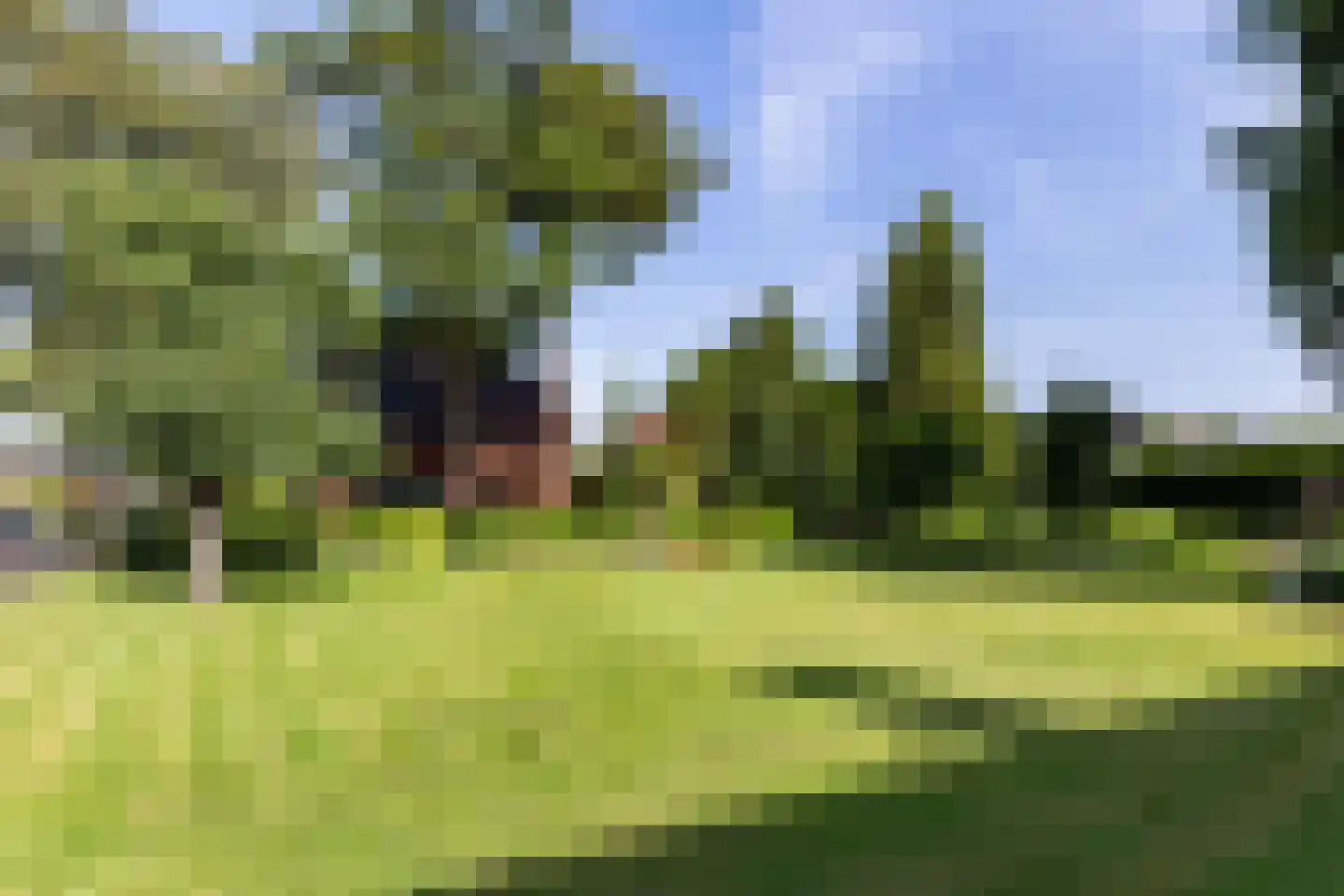 Reeënlaan 18 Apeldoorn thumbnail 25