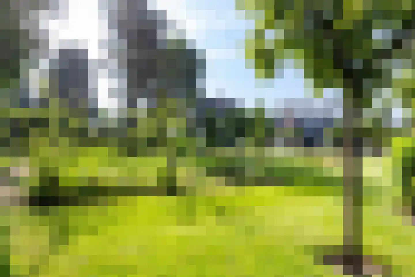 Reeënlaan 18 Apeldoorn thumbnail 28
