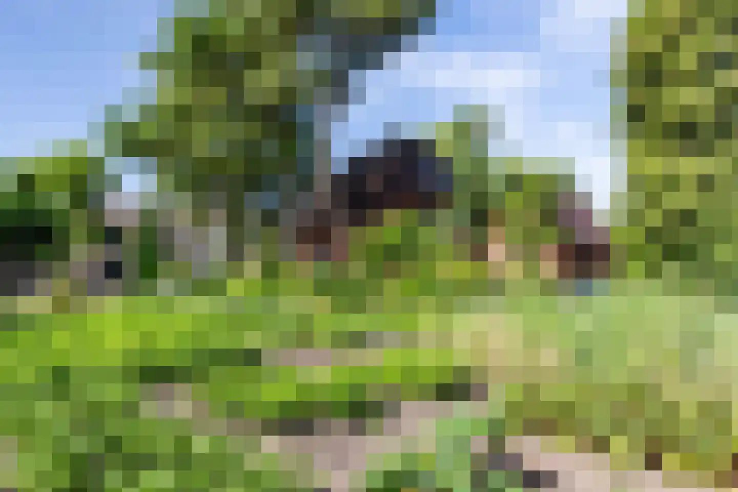 Reeënlaan 18 Apeldoorn thumbnail 29