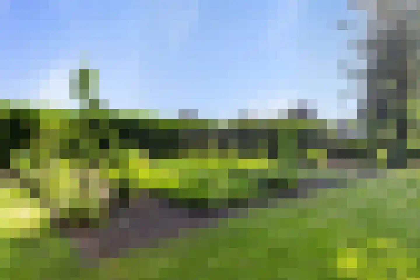 Reeënlaan 18 Apeldoorn thumbnail 30