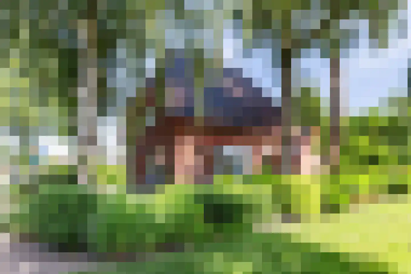 Reeënlaan 18 Apeldoorn thumbnail 32