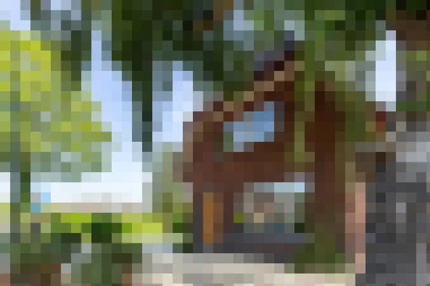 Reeënlaan 18 Apeldoorn thumbnail 33