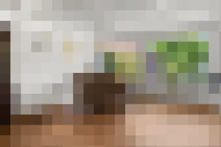 Reeënlaan 2 A Lunteren thumbnail 17