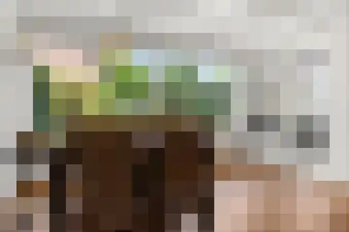 Reeënlaan 2 A Lunteren thumbnail 18