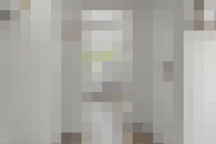 Reeënlaan 2 A Lunteren thumbnail 19