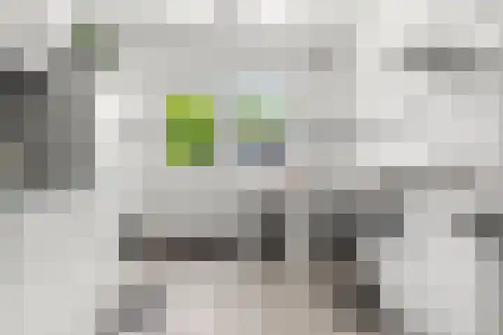 Reeënlaan 2 A Lunteren thumbnail 20