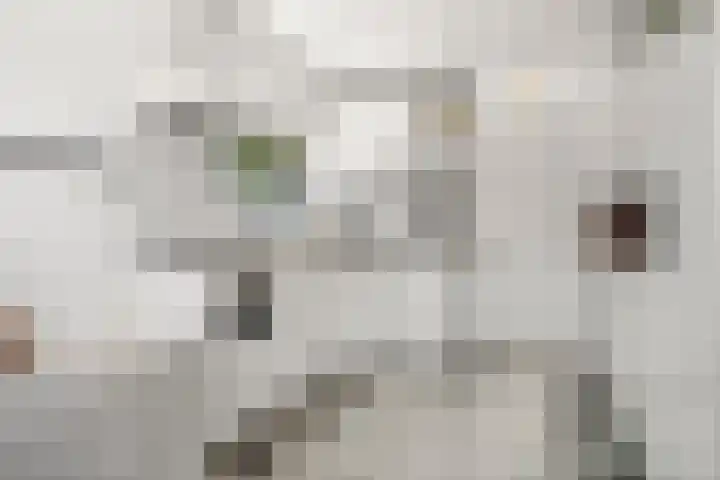 Reeënlaan 2 A Lunteren thumbnail 22