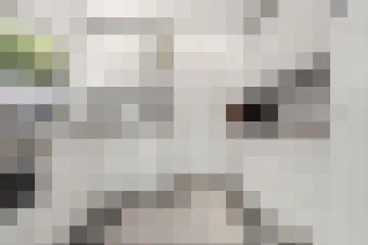 Reeënlaan 2 A Lunteren thumbnail 23