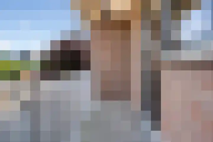 Reeënlaan 2 A Lunteren thumbnail 30