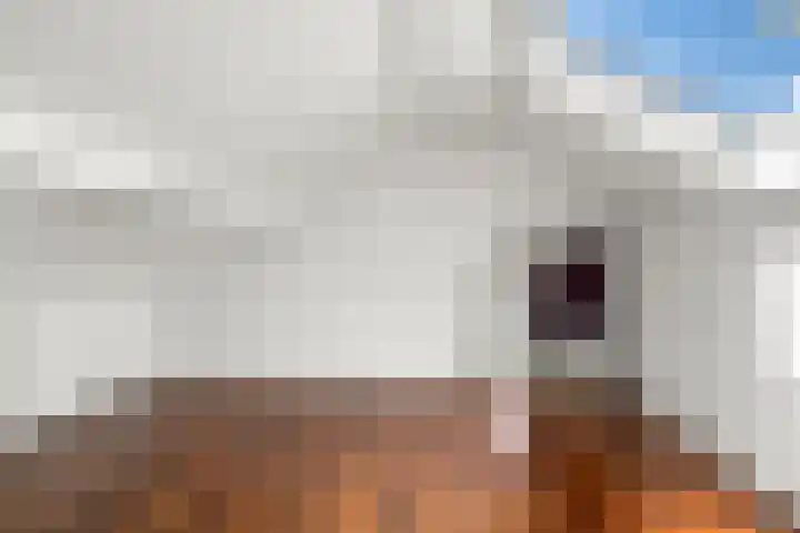 Reeënlaan 2 A Lunteren thumbnail 39