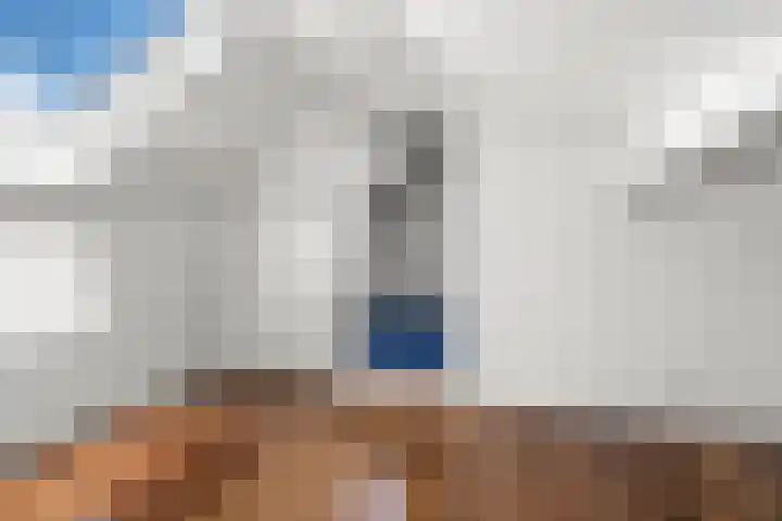 Reeënlaan 2 A Lunteren thumbnail 40