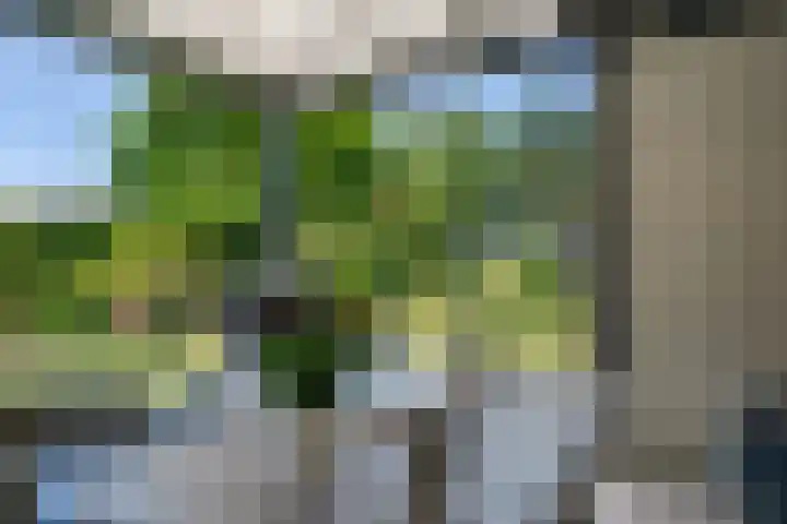 Reeënlaan 2 A Lunteren thumbnail 46