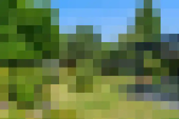 Reeënlaan 2 A Lunteren thumbnail 48