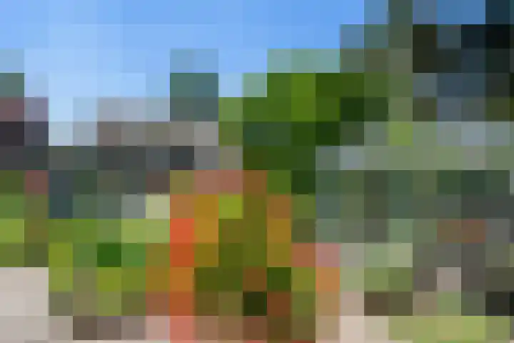 Reeënlaan 2 A Lunteren thumbnail 49