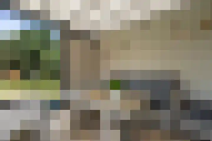 Reeënlaan 2 A Lunteren thumbnail 5