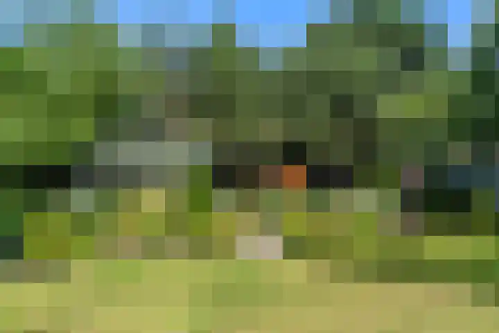 Reeënlaan 2 A Lunteren thumbnail 50