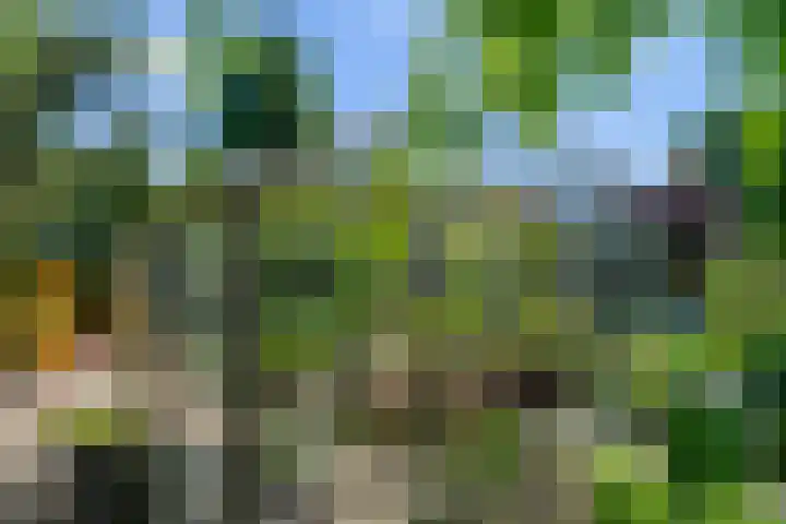 Reeënlaan 2 A Lunteren thumbnail 51