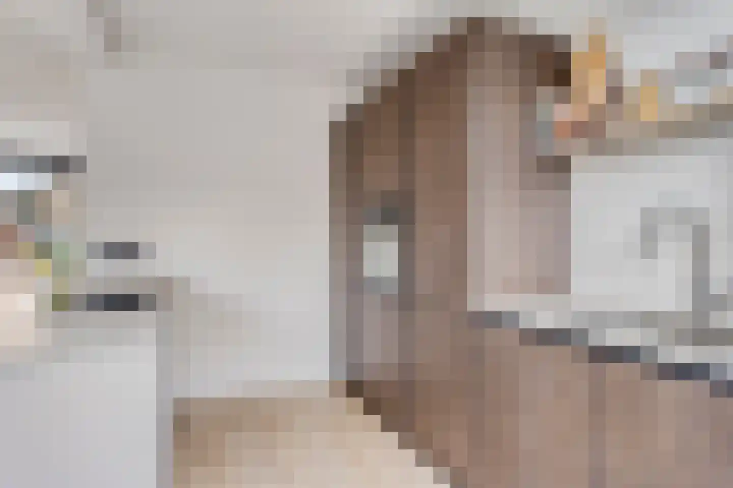 Reeënlaan 40 Apeldoorn thumbnail 11