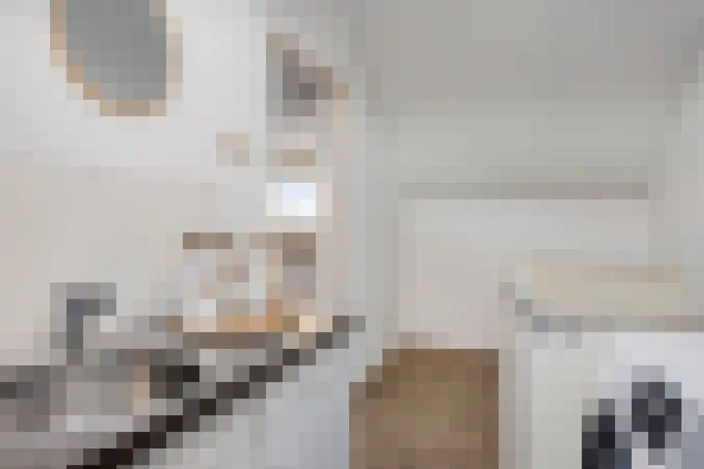 Reeënlaan 40 Apeldoorn thumbnail 23