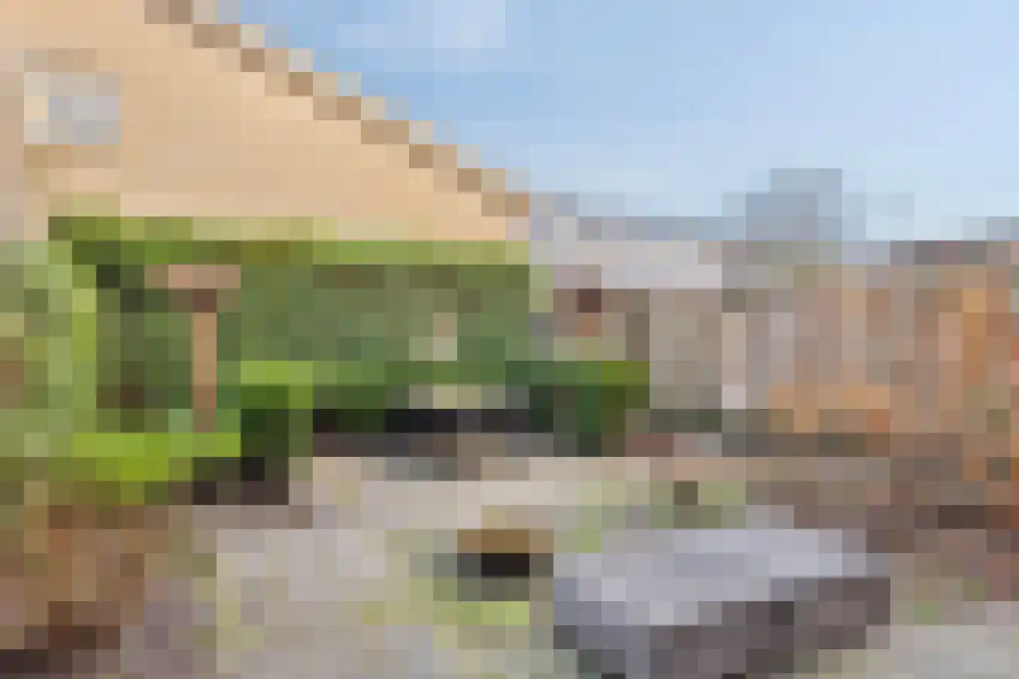 Reeënlaan 40 Apeldoorn thumbnail 29