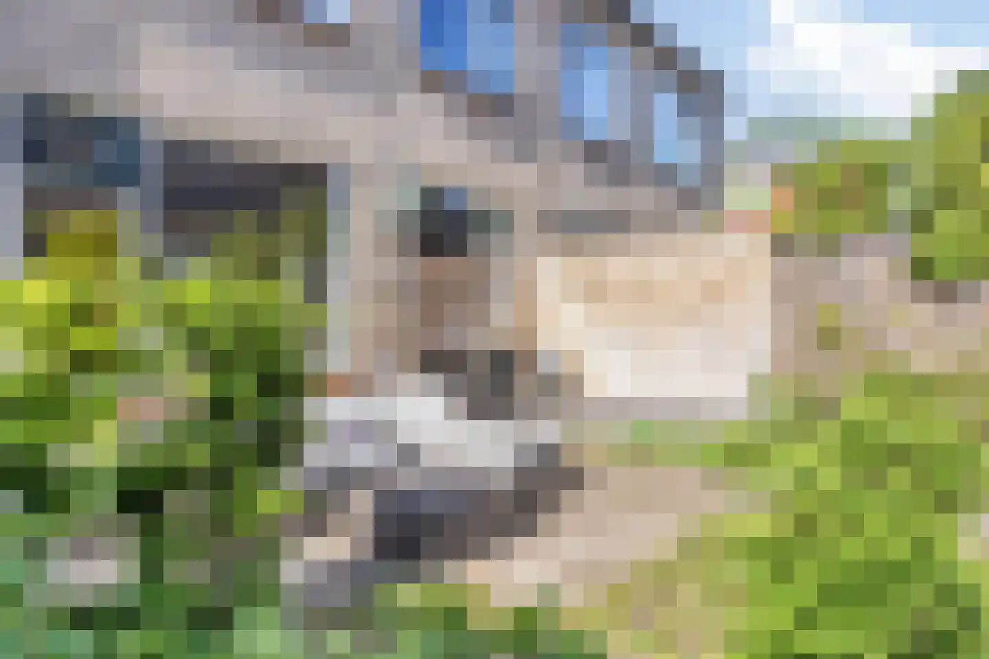 Reeënlaan 40 Apeldoorn thumbnail 29