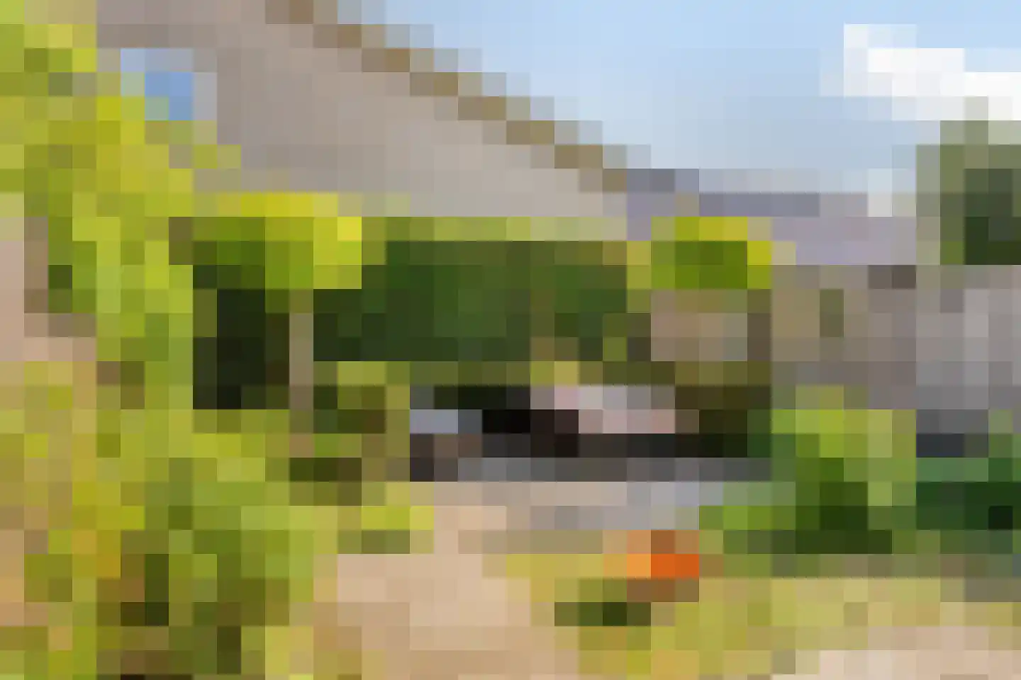 Reeënlaan 40 Apeldoorn thumbnail 31
