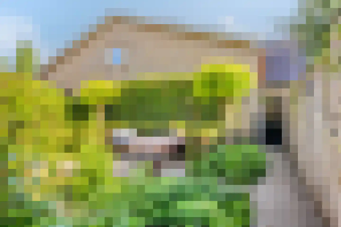 Reeënlaan 40 Apeldoorn thumbnail 32