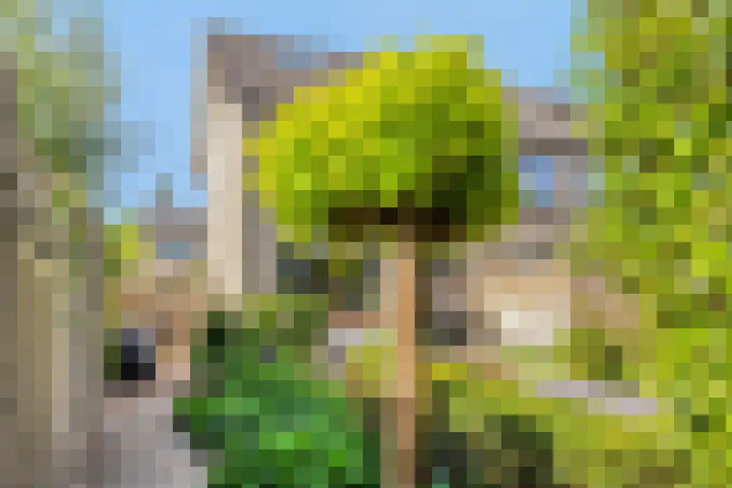 Reeënlaan 40 Apeldoorn thumbnail 35