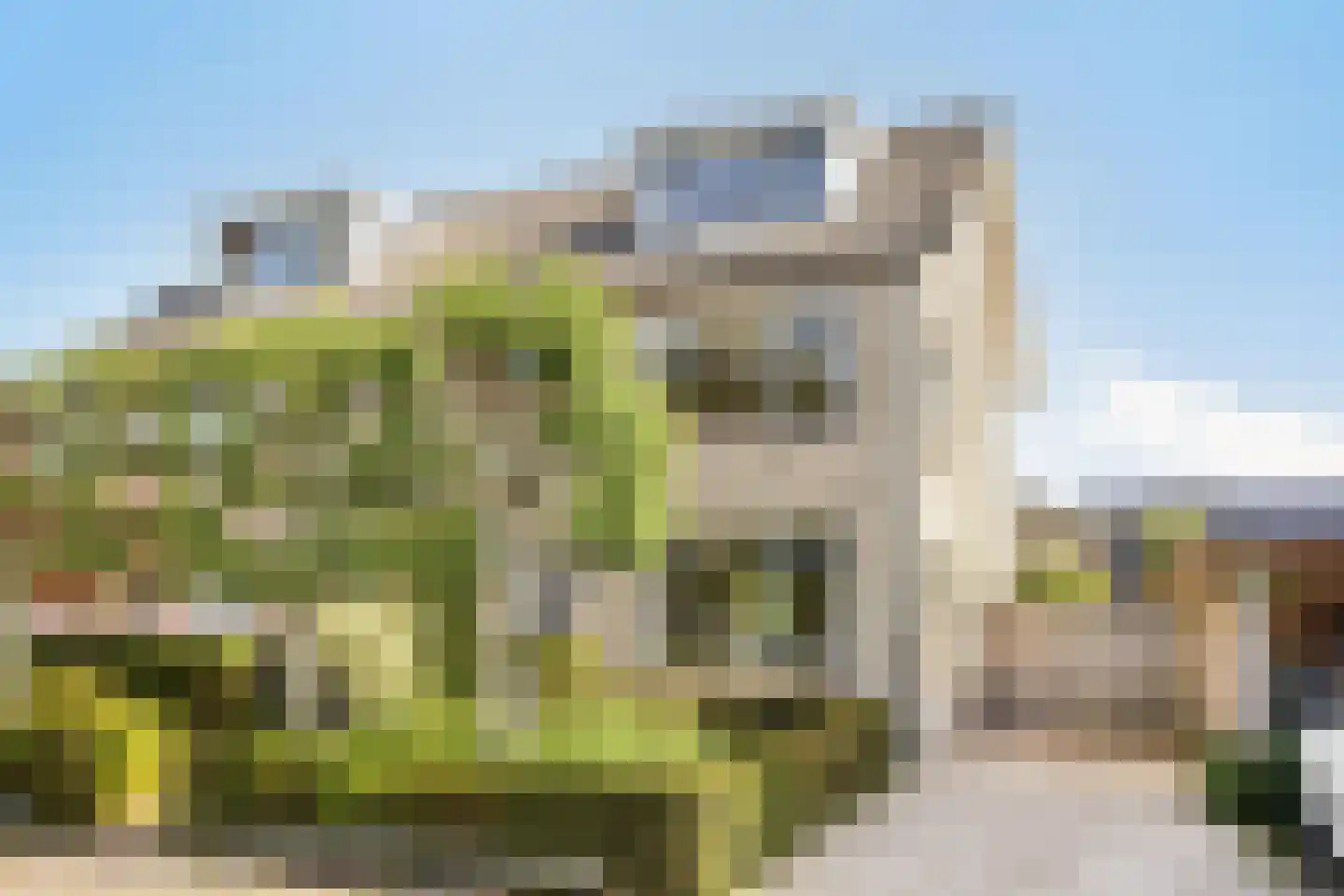Reeënlaan 40 Apeldoorn thumbnail 38