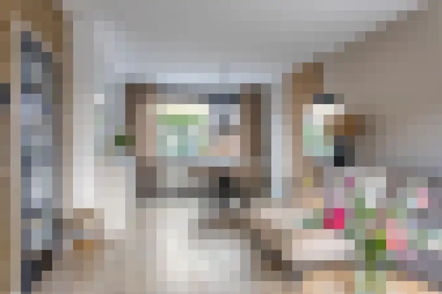 Reeënlaan 40 Apeldoorn thumbnail 6