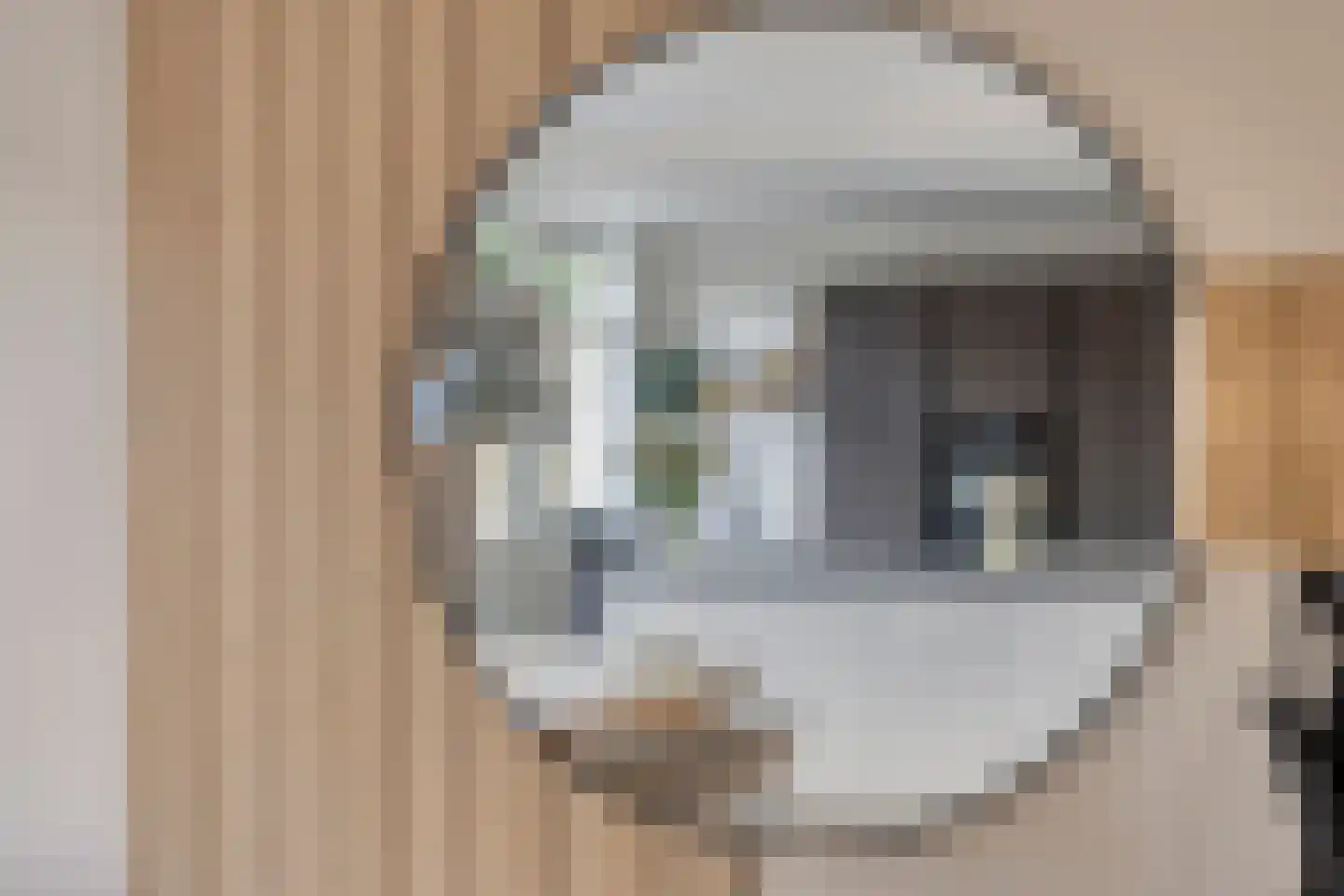Reeënlaan 40 Apeldoorn thumbnail 9