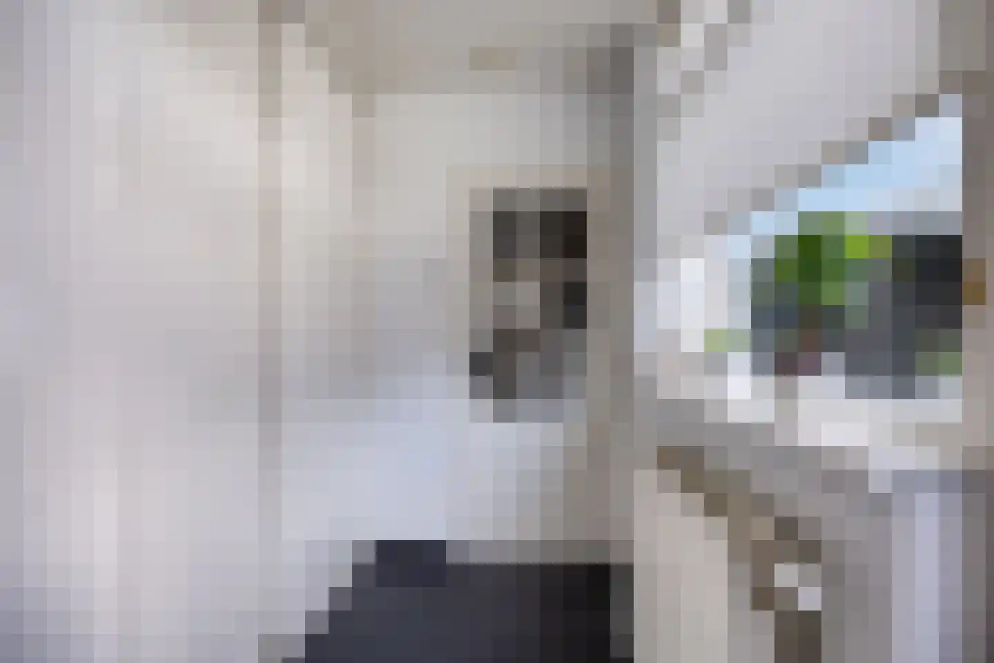 Reeënlaan 45 Lunteren thumbnail 18